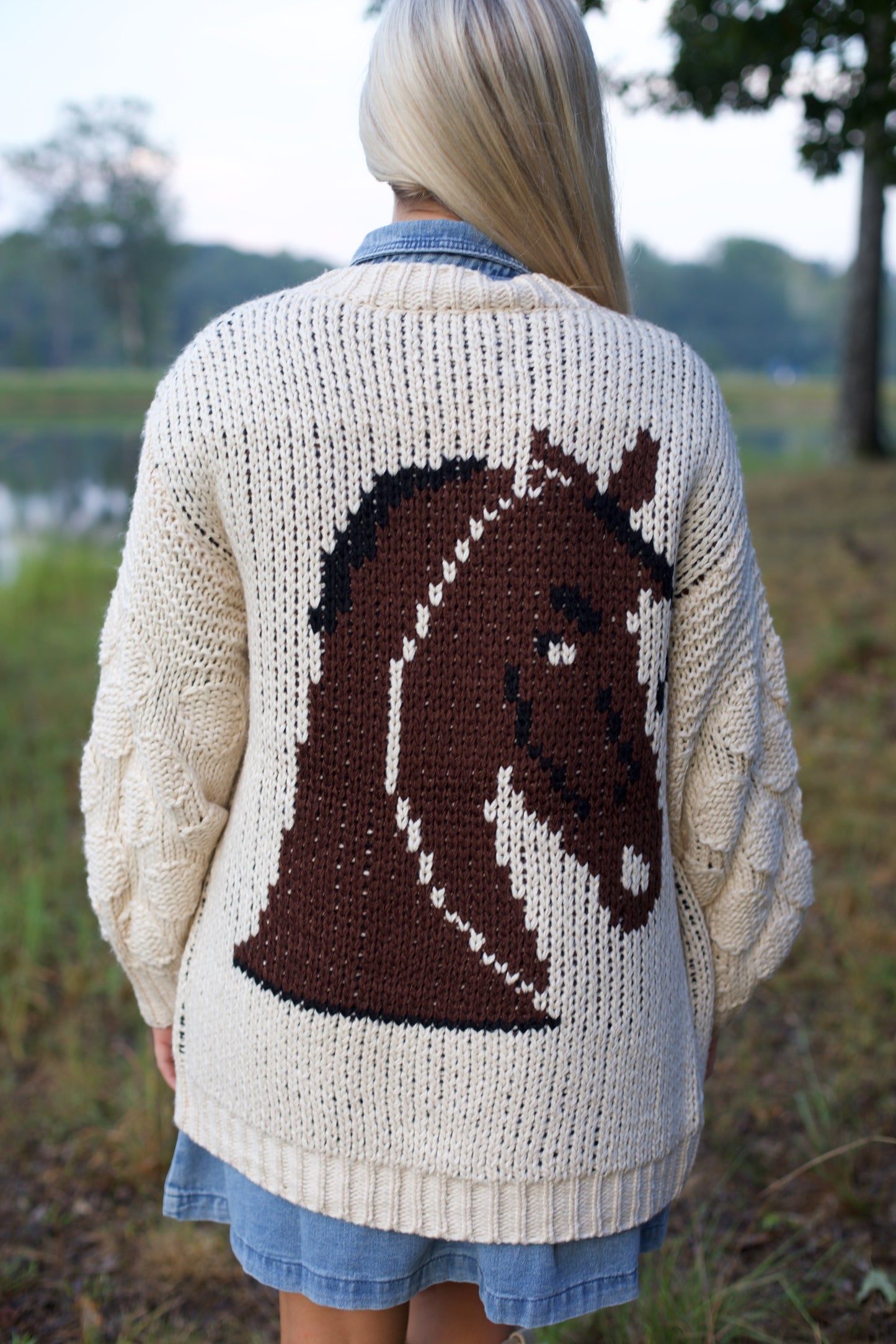Wild West Cardigan
