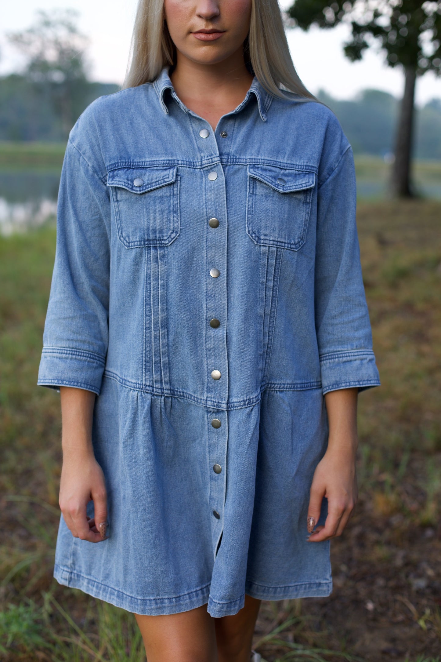 Denim Button Down Dress