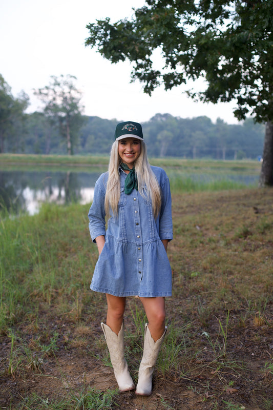 Denim Button Down Dress